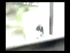 Hete paal met twee schattige sletten. lesbisch dildo